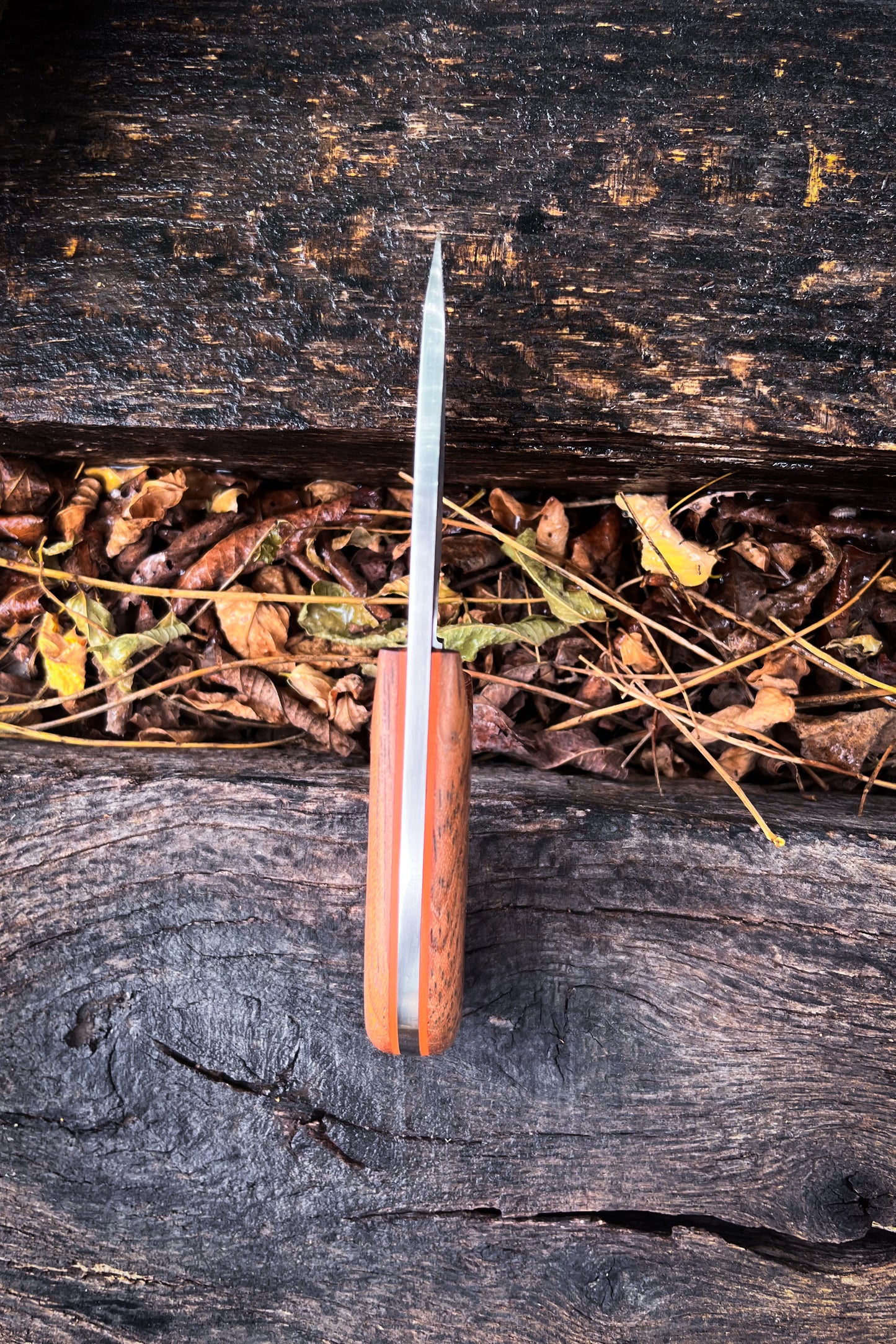
                  
                    Wingman - Jatoba
                  
                