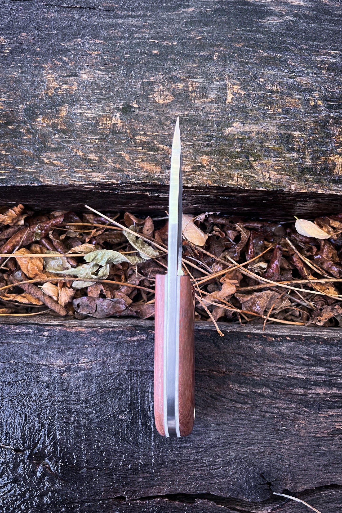 
                  
                    Wingman - Honduras Rosewood
                  
                